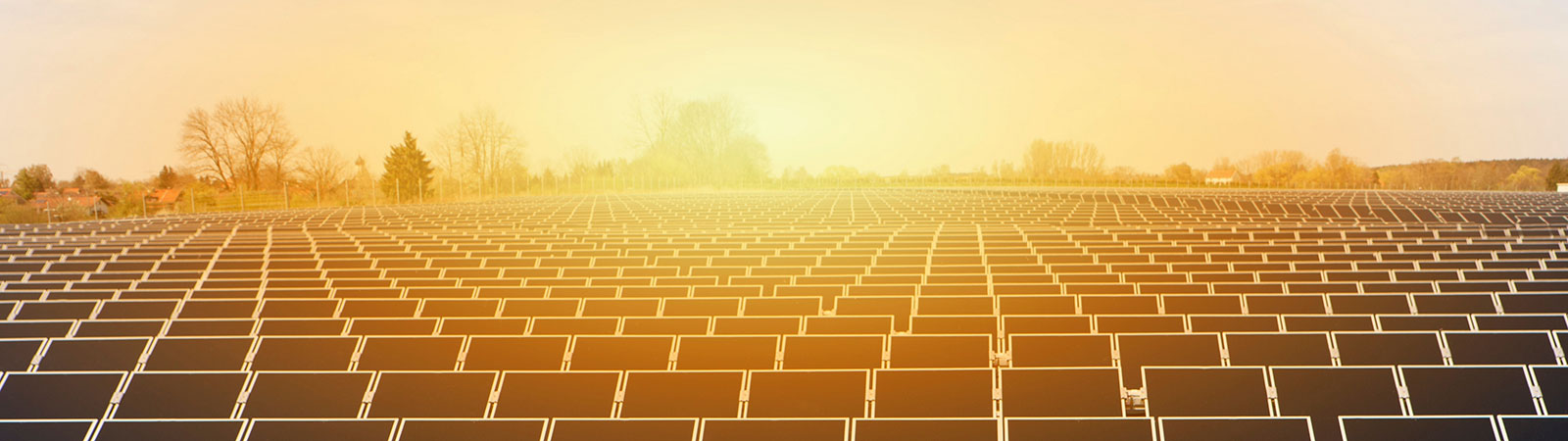 campo fotovoltaico al amanecer